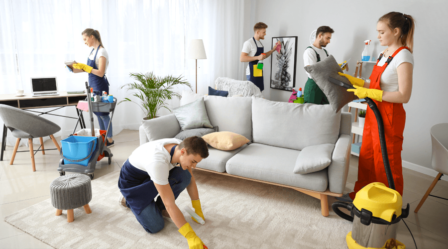 Property Cleaning & Maintenance